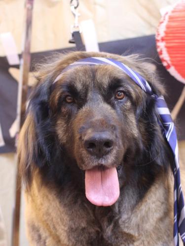 20240613シェリーちゃん